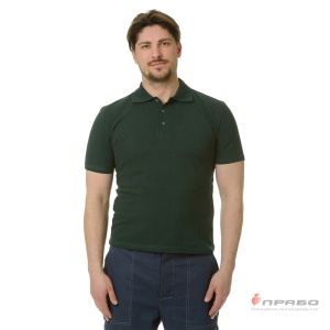 Рубашка «Поло» с коротким рукавом зелёная. Артикул: Трик1031. Цена от 882 р.