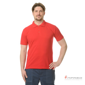 Рубашка «Поло» с коротким рукавом красная. Артикул: Трик1031. Цена от 882 р.